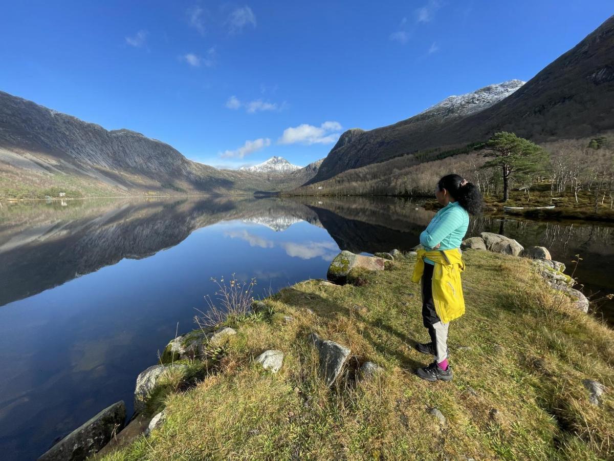 Fjord Apartments Dimmelsvik 외부 사진